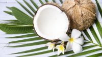 The benefits of coconut oil for your hair