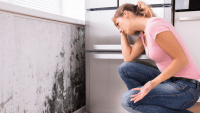 How to get rid of mould in the home