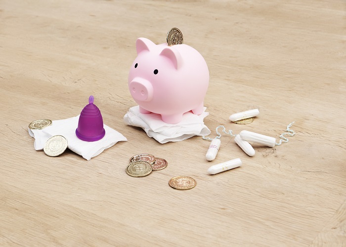 menstrual products around a piggy bank holding coins