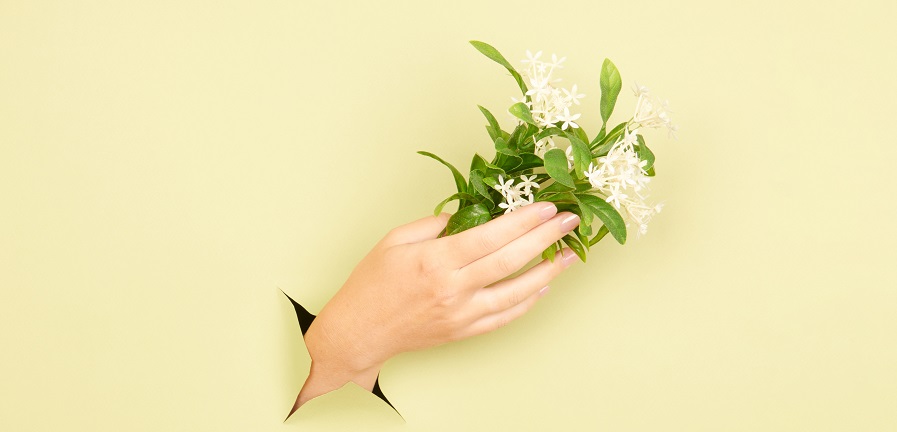 hand holding flowers coming out of wall