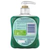 Carex Handwash Frosted Eucalyptus And Cedar 250ml