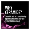 Schwarzkopf Ceramide Complex Hair Spray