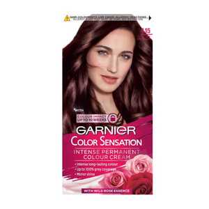 Garnier Colour Sensation Icy Chesnut 4.15