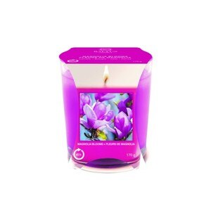 Baltus 45Hr Burn Candle Scented Magnolia Blooms