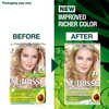 Garnier Nutrisse Light Natural Blonde 9