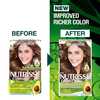 Garnier Nutrisse 6 Light Brown