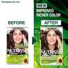 Garnier Nutrisse Dark Brown 4