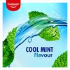 Colgate Plax Cool Mint Mouthwash 1 Litre