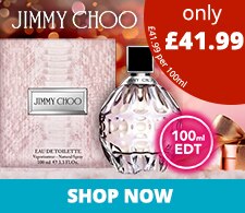 JIMMY CHOO EDT 100ML